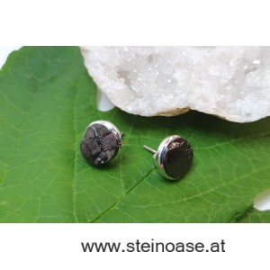 Ohrstecker Edel-Schungit mit Silberfassung, Natur, 12mm